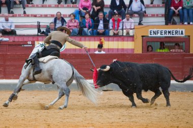 Andy Cartagena, bullfighter on horseback spanish clipart