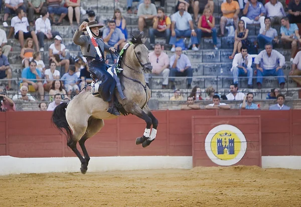 アルバロ モンテス、馬に乗っての闘牛士スペイン語 — ストック写真