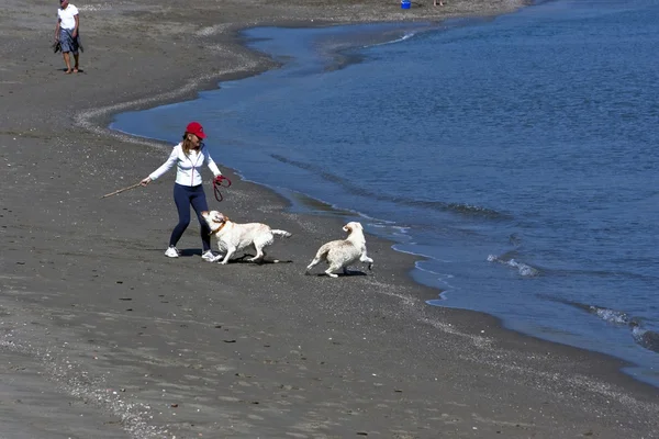 在海滩上玩狗的女人 — 图库照片