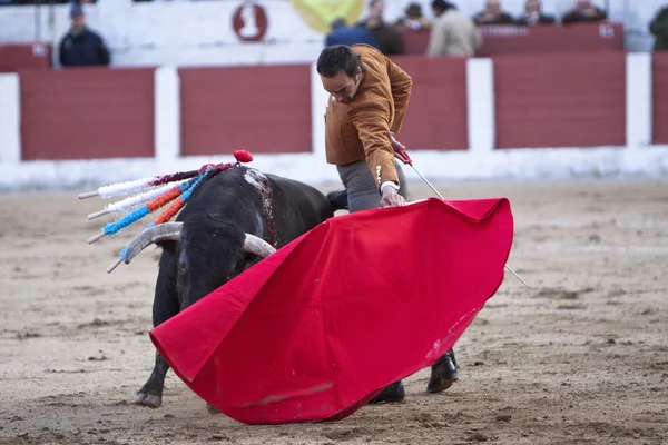 De Spaanse stierenvechter manuel jesus "el cid" stierenvechten in een stierengevecht in linares — Stockfoto