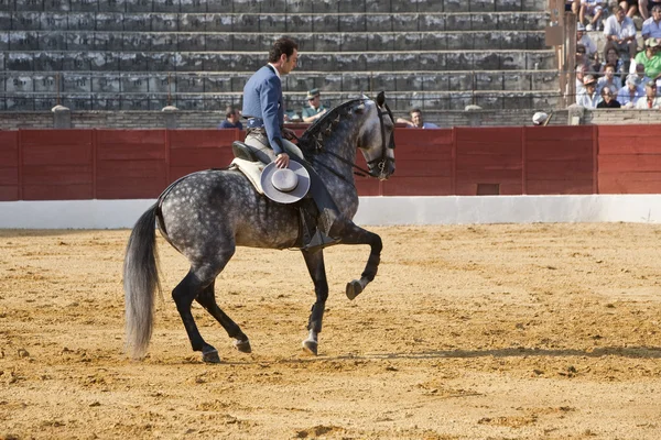 安迪卡塔赫纳，骑在马背上的斗牛士西班牙语 — 图库照片