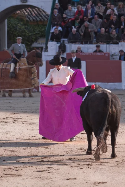 Torero avec le Cap dans la corrida — Photo