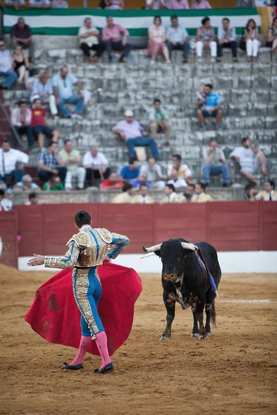 Bullfighter with the Cape in the Bullfight — Stock Photo, Image