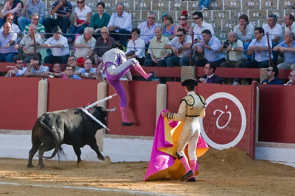 Stier jagt einen Stierkämpfer, der durch die Barriere springt — Stockfoto