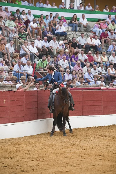 Andy cartagena, Matador na koniu hiszpański — Zdjęcie stockowe