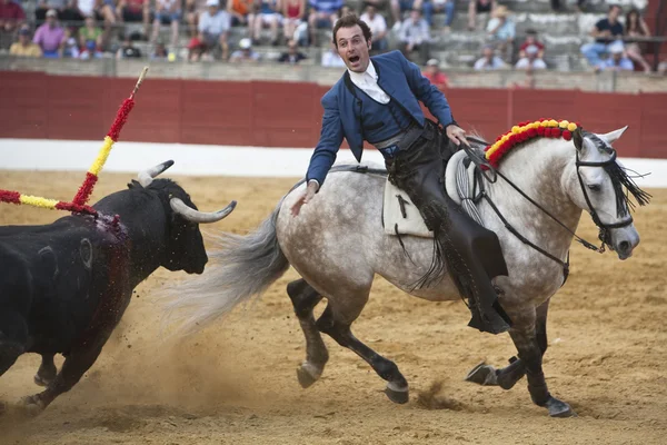 Andy cartagena, toreador na koni Španělština, — Stock fotografie