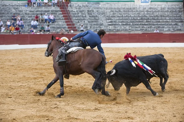 アンディ カルタヘナ、馬に乗っての闘牛士スペイン語 — ストック写真