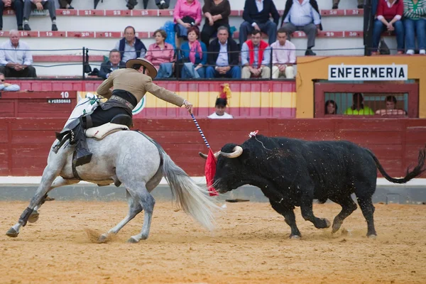 Andy cartagena, tjurfäktare på hästryggen spanska — Stockfoto