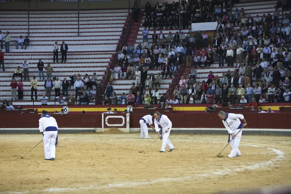 Empleado de la plaza de toros suavizando el suelo — Foto de Stock