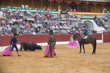 Andy Cartagena, bullfighter on horseback spanish clipart