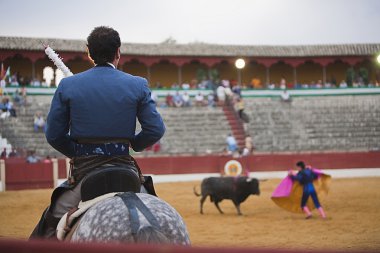 Andy cartagena, at sırtında matador İspanyolca