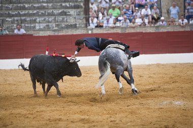 Leonardo Hernandez, bullfighter on horseback spanish clipart