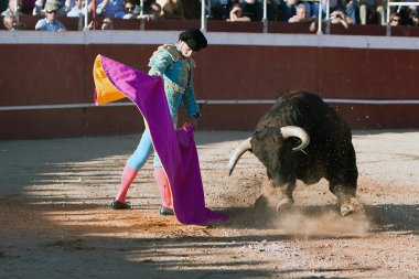 İspanyol Boğa güreşçisi çıkmışsanız de segura Arena, david valiente boğa güreşi