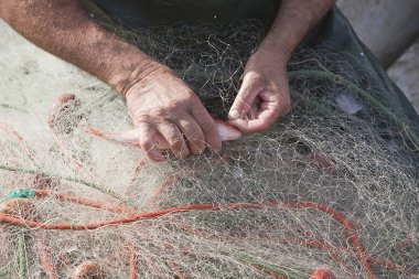estepona Limanda balık balıkçılık ağları alarak denizci