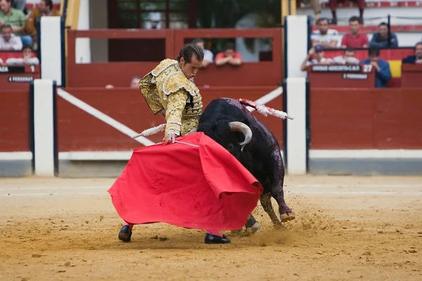 İspanyol Boğa güreşçisi cesar jimenez jaen Arena içinde mücadele — Stok fotoğraf