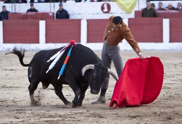 The spanish bullfighter Manuel Jesus "El Cid" bullfighting in a bullfight in Linares — Stock Photo, Image