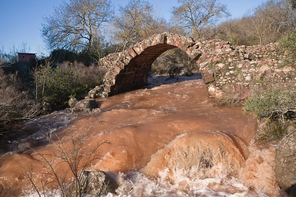 Ponte romano Piélago Linares, provincia di Jaen, Andalusia, Spagna — Foto Stock