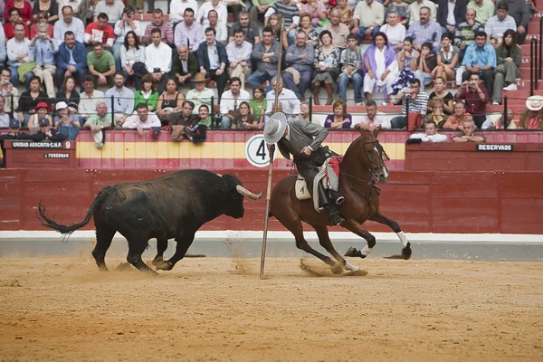 Alvaro Montes, torero à cheval sorcière espagnole garrocha — Photo