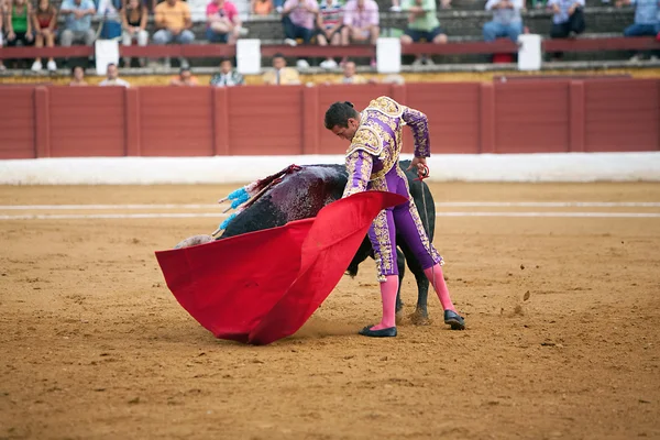 The Spanish bullfighter Jose Maria Manzanares, Bullfight at Andujar bullring, Jaen, Spain, 11 September 2009 — Stock Photo, Image