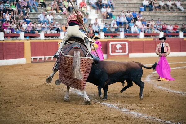 Toureiro picador — Fotografia de Stock