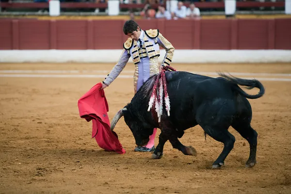 El torero español Sebastian Castella — Foto de Stock