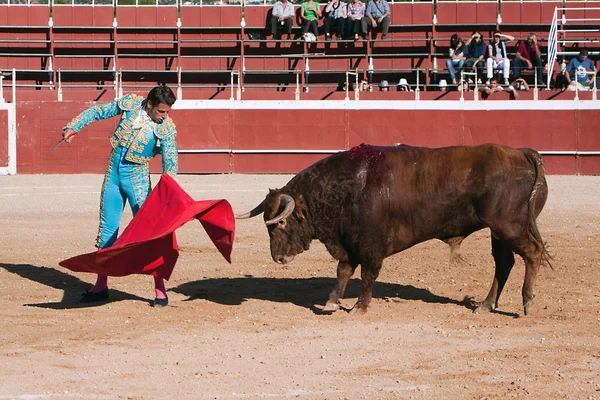 Der spanische Stierkämpfer david valiente stierkampf in der Stierkampfarena beas de segura — Stockfoto