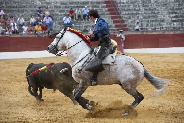 Andy Cartagena, torero a cavallo spagnolo — Foto Stock