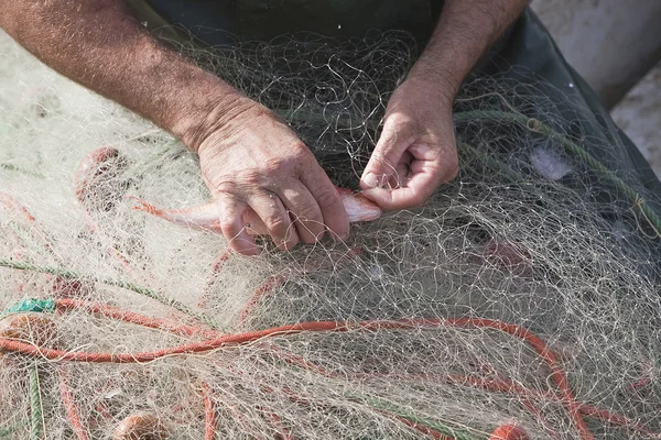 Marinero cogiendo un pescado de sus redes de pesca en el puerto de Estepona —  Fotos de Stock