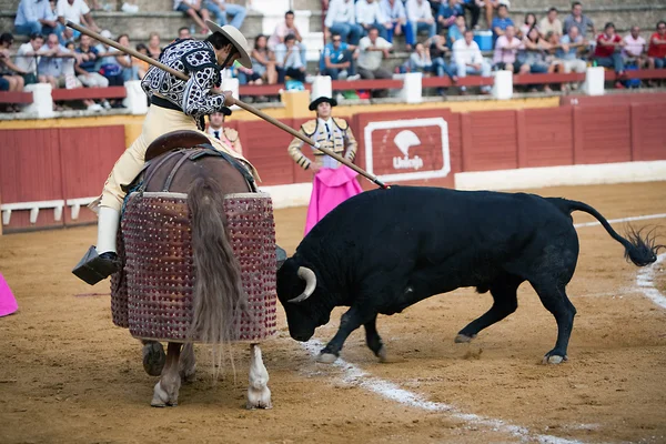 Picador bullfighter — Stock Photo, Image