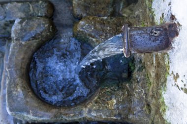 çiftlik hayvanları için yalak içme