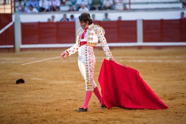 İspanyol Boğa güreşçisi juan jose padilla güreşi pozoblanco Arena,