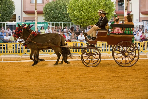 Transporte tirado por dos caballos —  Fotos de Stock