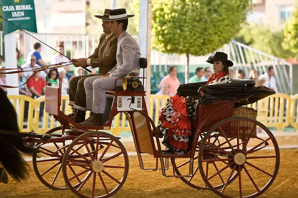 Vagn dragen av två hästar — Stockfoto