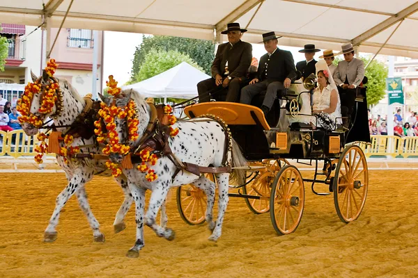 Carriage pulled by two horses — Stock Photo, Image