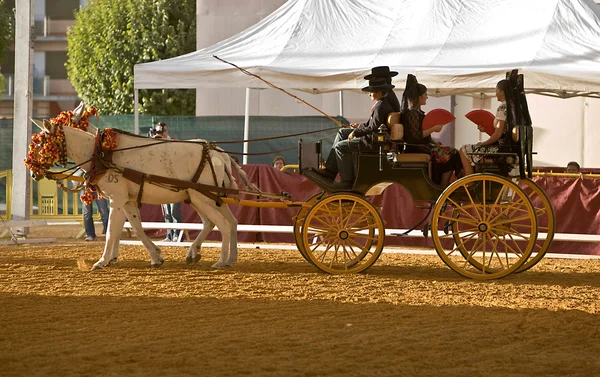 Transporte puxado por dois cavalos — Fotografia de Stock