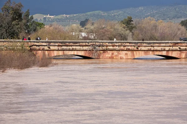 Andujar, jaen Eyaleti, Endülüs, İspanya geçerken guadalquivir Nehri — Stok fotoğraf