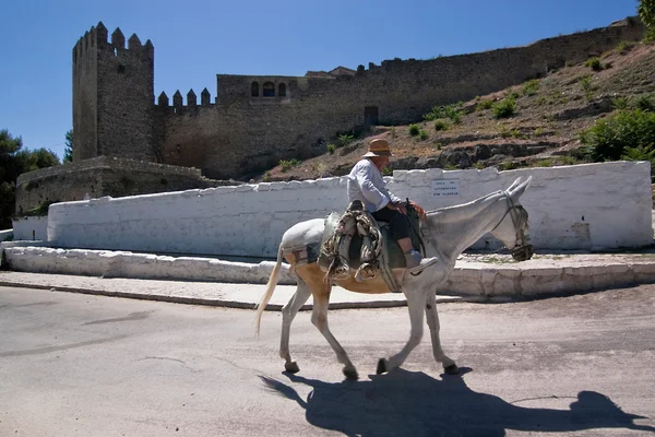 Ancião caminhando em burro perto da Torre do Barbacana — Fotografia de Stock