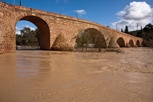 Řeka Guadalquivir, procházející andujar — Stock fotografie