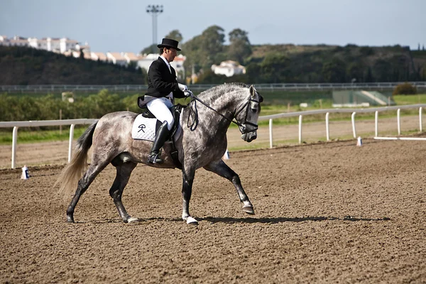 Rider competing in dressage competition classic — Stock Photo, Image