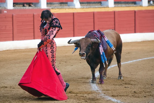 Španělský toreador juan jose padilla býčí zápasy v aréně andujar — Stock fotografie