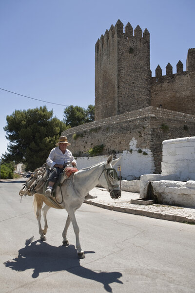 Elder walking in donkey close to the Tower of the Barbacana