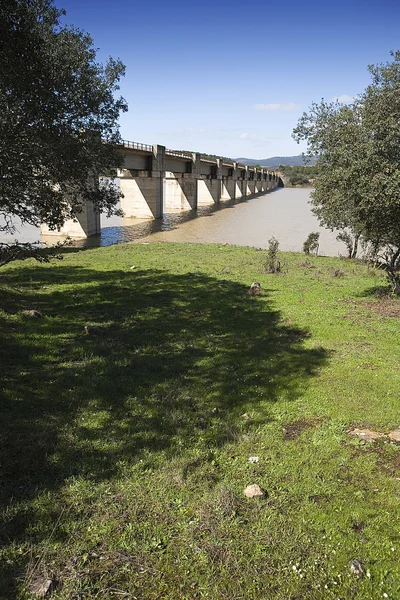 Järnvägen fodrar cordoba — Stockfoto