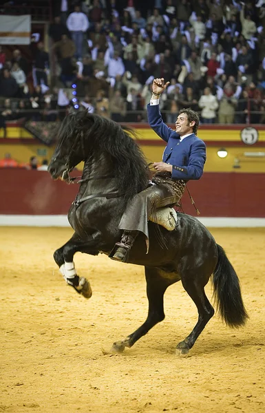Miguel angel martin, toreador na koni Španělština — Stock fotografie