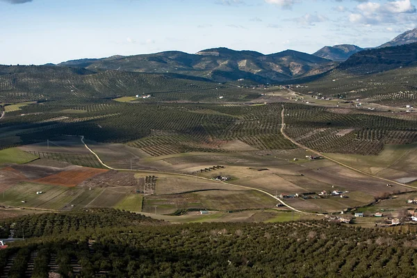 Landscape of fields — Stock Photo, Image