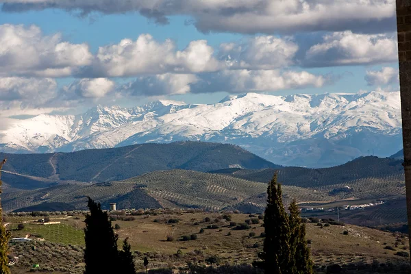 Views from La Mota castle with Sierra Nevada to the background — Stock Photo, Image