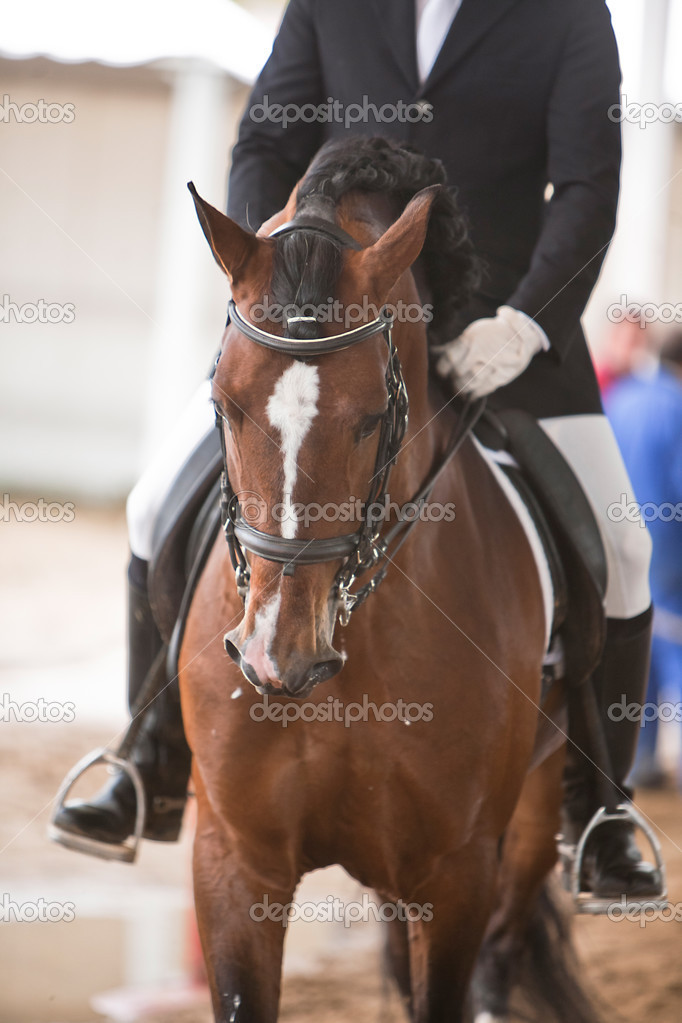 Rider competing in dressage competition classic