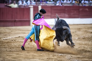 Boğa güreşçisi luis bolivar boğa güreşi baeza Arena içinde koltuk değneği ile