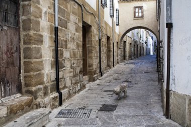baeza içinde dünya miras kenti, sokak barbacana saat kulesinin yanında tipik sokak,