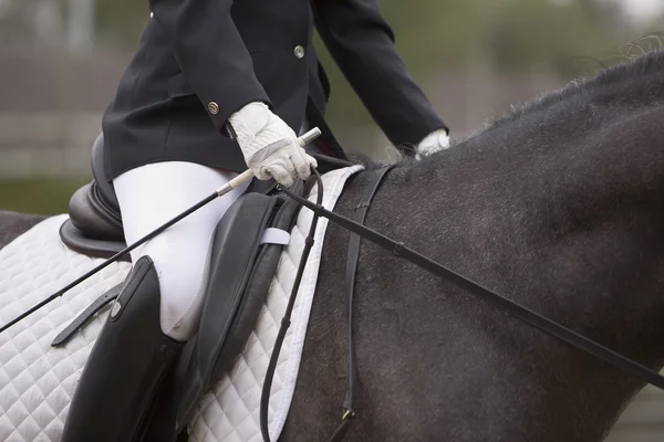 Detalj av sadeln och leder en spansk renrasig häst — Stockfoto