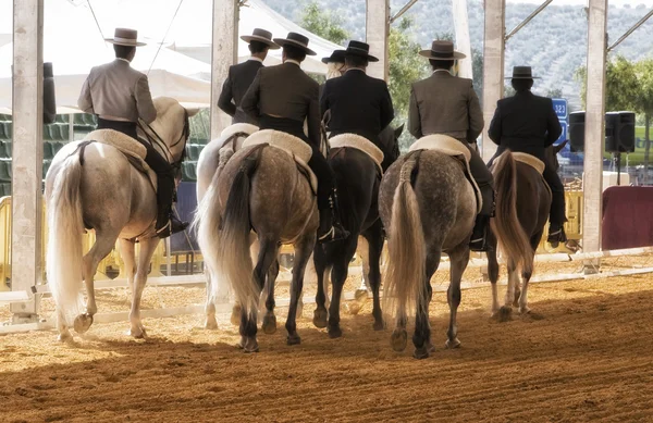 Group of horsemen riding on their backs after dressage exhibition denim in Andujar — Stock Photo, Image